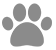pet policy