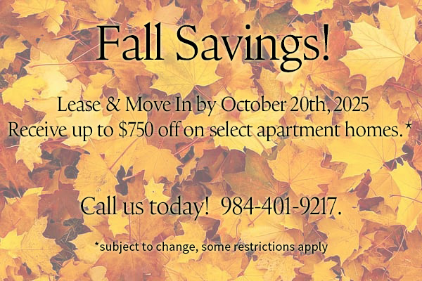 Fall Promo graphic