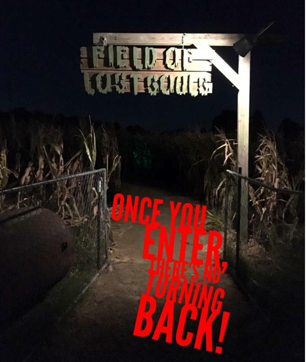 Field of Lost Souls