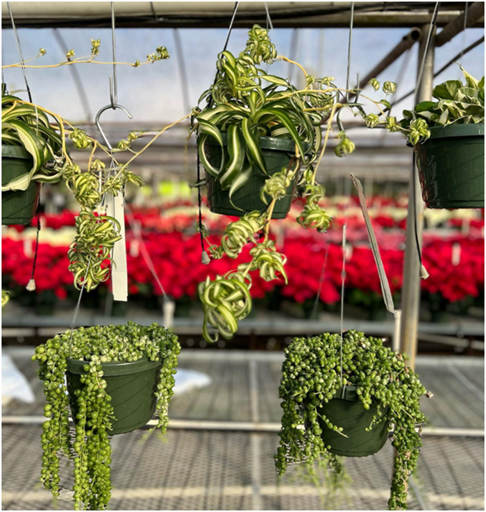 Garden Center