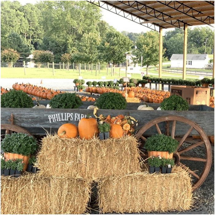 Phillips Farm
