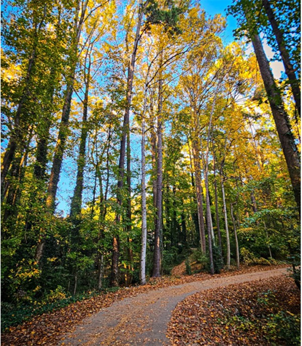 trails made for walking