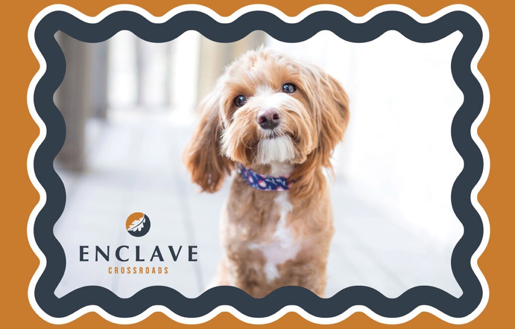 Pet-friendly Enclave at Crossroads