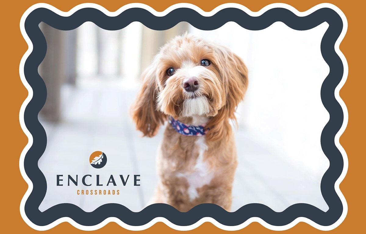 Pet-friendly Enclave at Crossroads