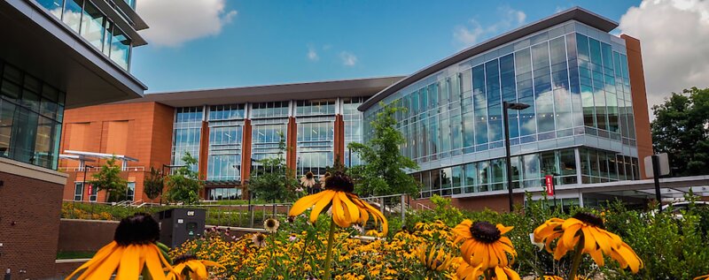 North Carolina State University