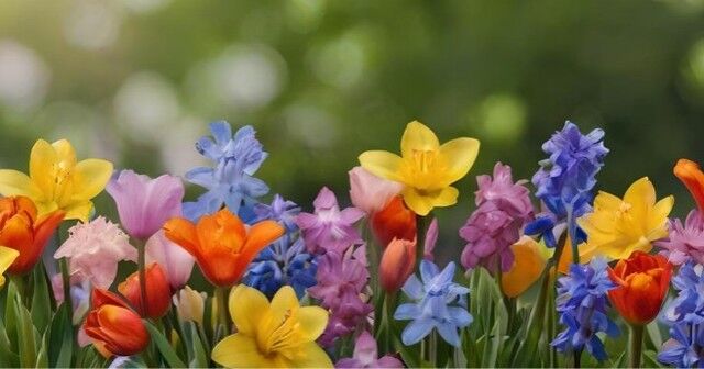 🌸 SPRING VIBES ONLY 🌸

Perfect day idea:
☀️ Morning coffee on your balcony
🛍 Afternoon shopping nearby
🍴 Dinner minutes from home

This is your life at The Enclave 💫

📲 enclaveatcrossroads.com
📞 (919) 709-0641